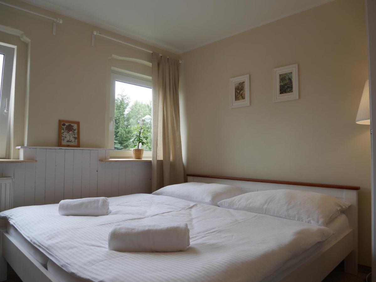 Villa Sonja House Abertamy Extérieur photo